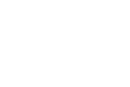 HIRE A STAR (3)